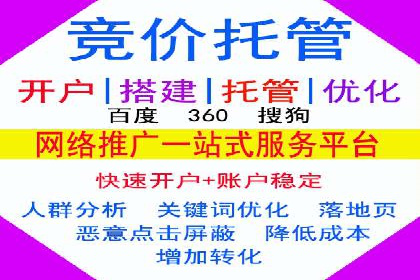 如何做SEM：从案例看策略制定与实施